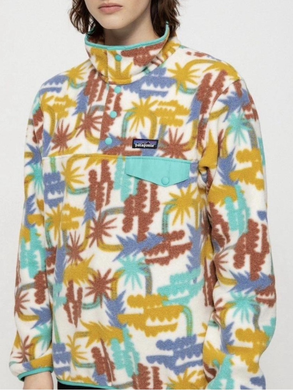 PATAGONIA ‘Synchilla Snap-T’ Fleece Pullover In Tree Connection Print